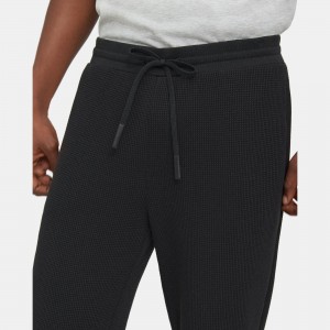 Jogger in Cotton Waffle Knit