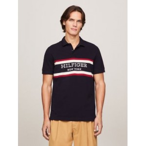 Regular Fit Monotype Colorblock Polo