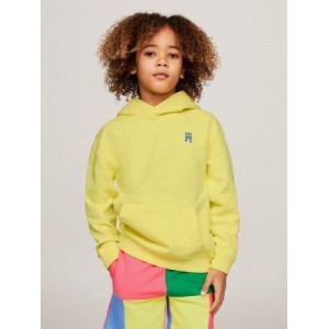 Kids Embroidered TH Hoodie