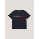 Kids Flag Stripe Logo Ringer T-Shirt