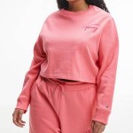 Tommy Jeans Womens Tjw Curve Tommy Signature Crew Sweatshirt - Garden Rose