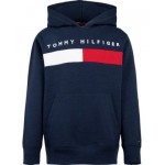 Little Boys Exploded Flag Pullover Hoodie
