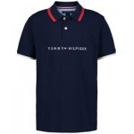 Little Boys Tomas Embroidered Logo Polo Shirt