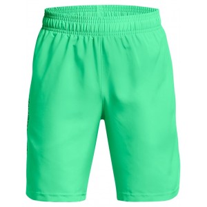 Woven Wordmark Shorts (Big Kids) Vapor Green/Black
