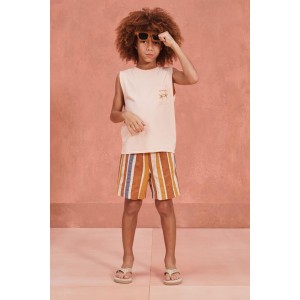 EMBROIDERED STRIPED SHORTS LIMITED EDITION