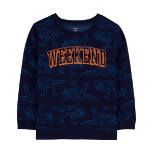 Blue Kid Dino Print Weekend French Terry Pullover