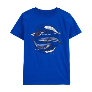 Blue Kid Whale Graphic Tee