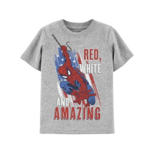 Multi Toddler Spider-Man 4th Of July Tee