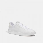 clip low top sneaker with signature canvas