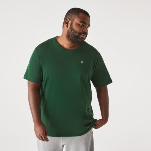 Mens Big Fit Crew Neck Cotton Jersey T-Shirt