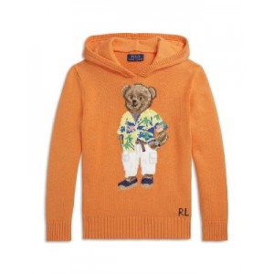 Boys Cotton Polo Bear Hooded Sweater - Little Kid, Big kid