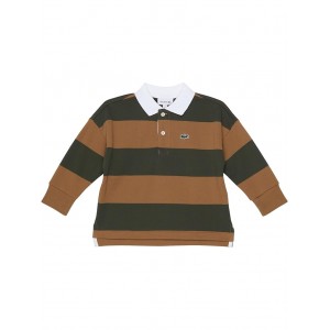 Long Sleeve Striped Color-Block Polo Shirt (Toddler/Little Kids/Big Kids) Baobab/Leafy