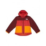 Freedom Triclimate (Little Kids/Big Kids) TNF Red
