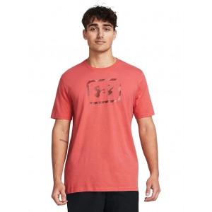 Freedom Graphic T-Shirt Coho/Cinna Red