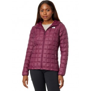 Thermoball Eco Hoodie Boysenberry