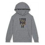 Lfi Pullover Hoodie (Toddler) Carbon Heather