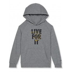 Lfi Pullover Hoodie (Toddler) Carbon Heather