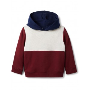 Color-Block Sweatshirt (Toddler/Little Kids/Big Kids) Gerbera Burgundy