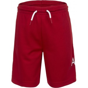 Jumpman Big Air Mesh Shorts (Toddler/Little Kids/Big Kids) Gym Red