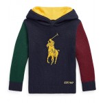 Polo Ralph Lauren Kids Big Pony Cotton Hooded Sweater (Toddler)