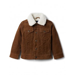 Sherpa Collar Corduroy Jacket (Toddler/Little Kids/Big Kids) Khaki