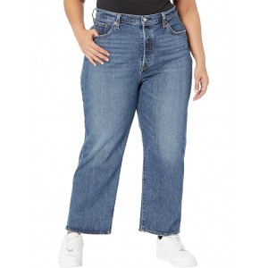 Plus Size Ribcage Straight Ankle Valley View
