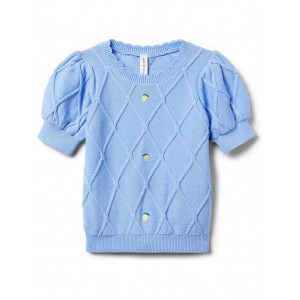 Pointelle Sweater Top (Toddler/Little Kid/Big Kid) Blue