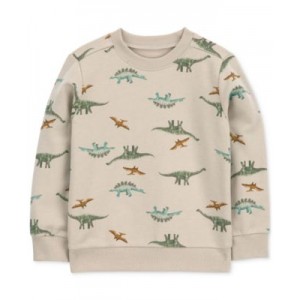 Toddler Boys Dinosaur Pullover Sweater