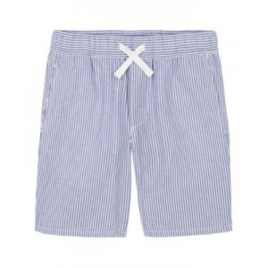 Little Boys Seersucker Stripe Pull-On Shorts