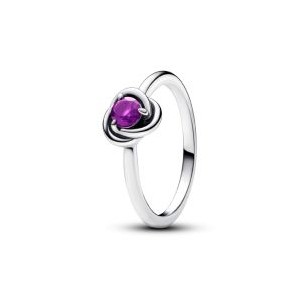 Purple Eternity Circle Ring - February