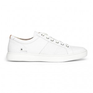 Mens Colle Lace-to-Toe Sneaker