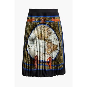 Printed plisse crepe skirt